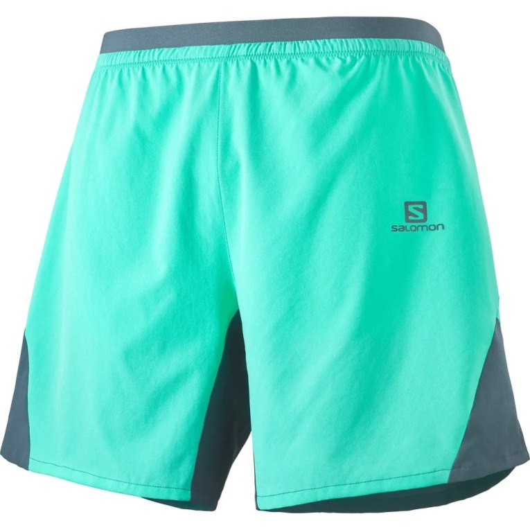 Turquoise Salomon Cross 7'' No Liner Men's Shorts | IE RG8430